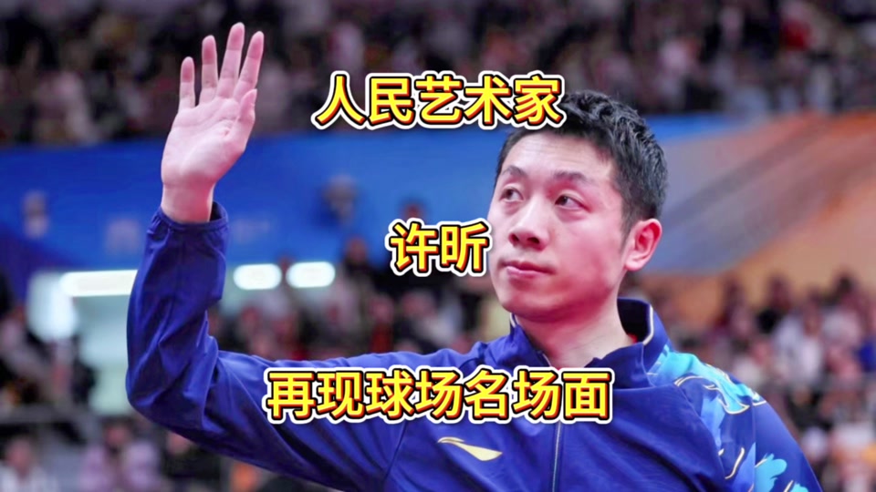 关于奥地利队轻取日本队，许昕高光表现的信息