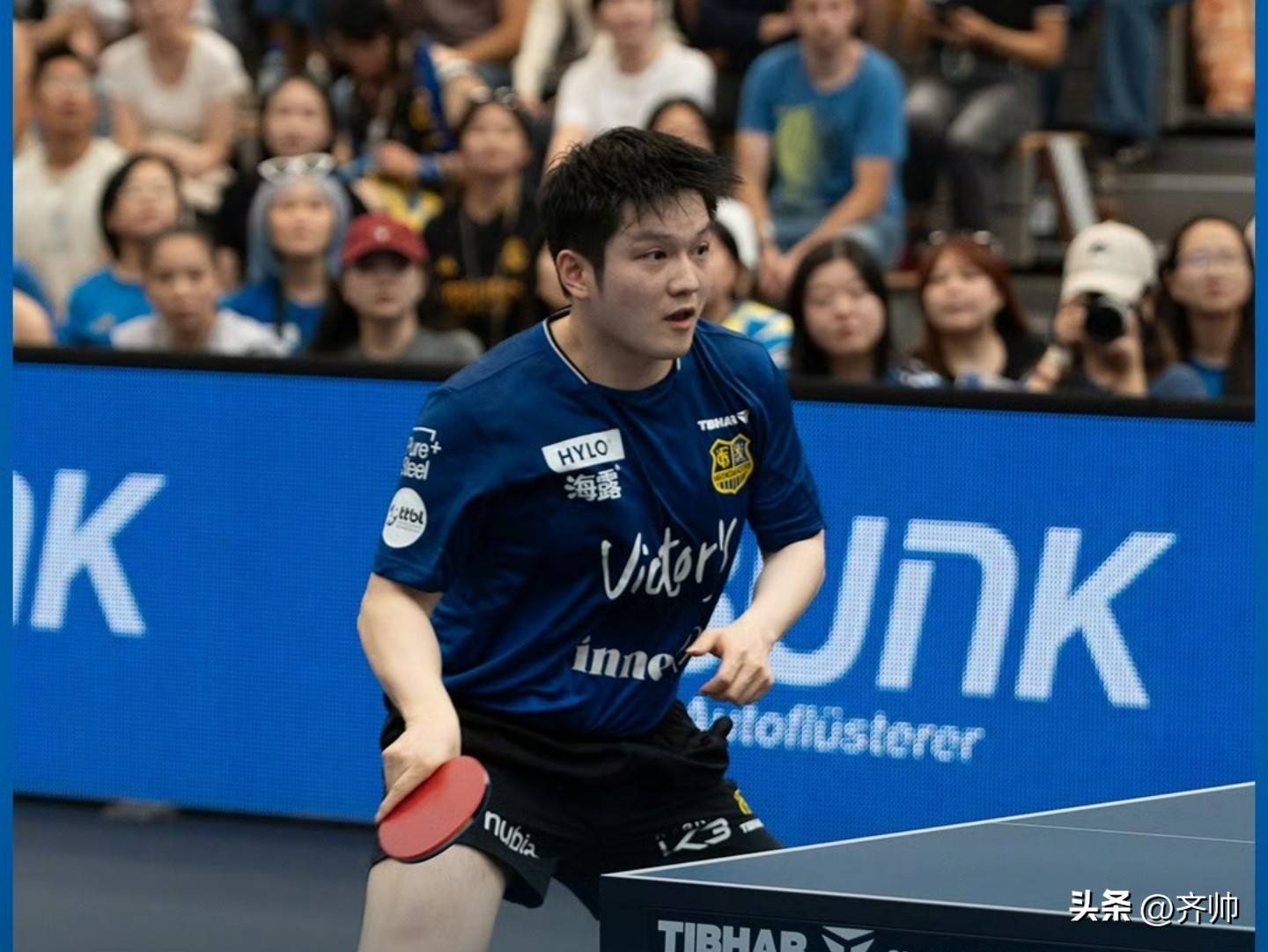 关于波兰乒乓球队逆转德国乒乓球队，樊振东送出助攻的信息