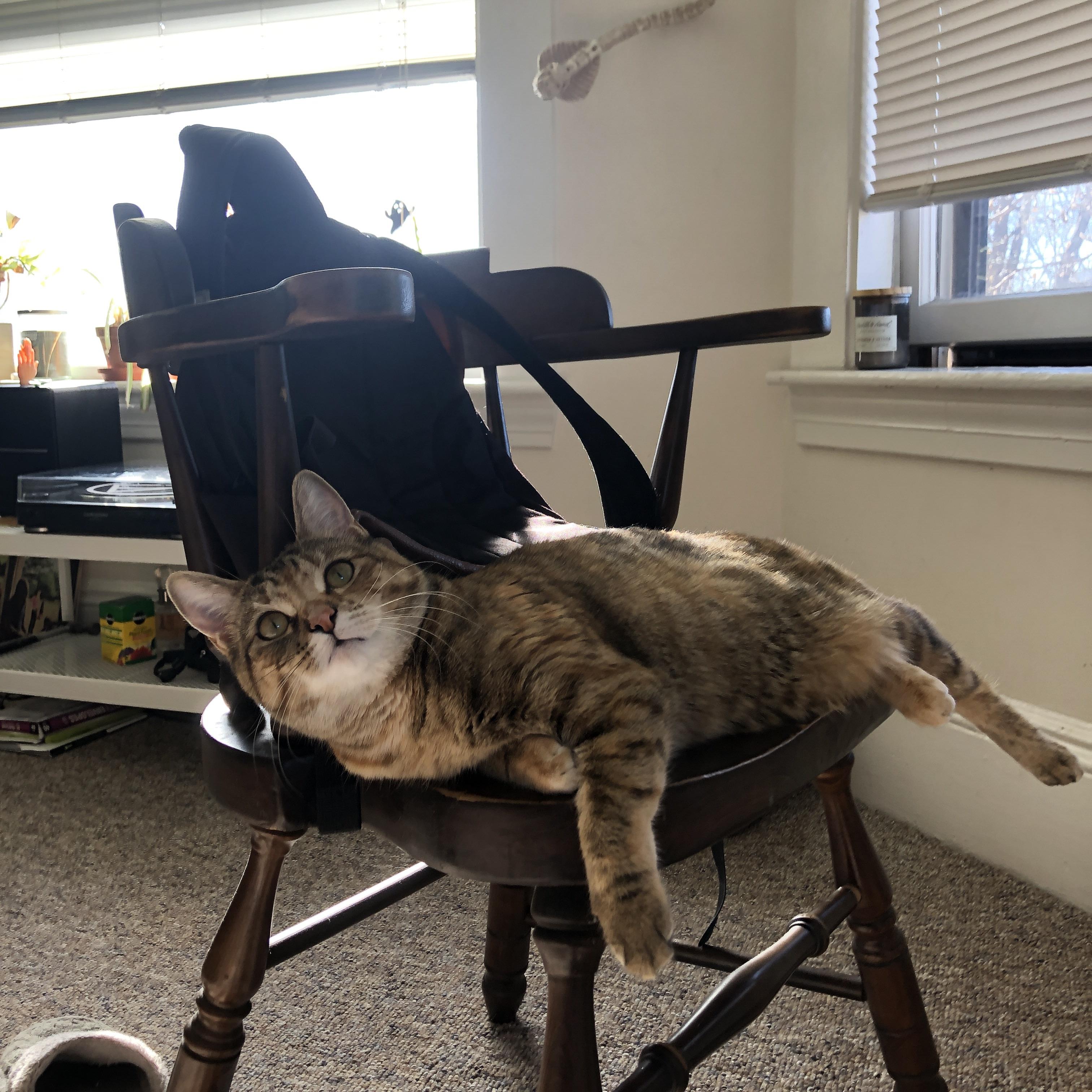 费城单节风暴击溃雄鹿，锡安持续杀伤力改写比赛格局